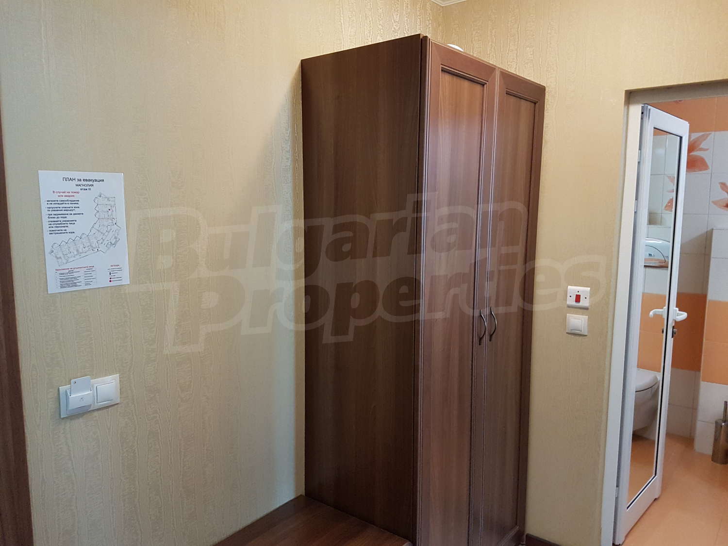 Gallery Picture 27