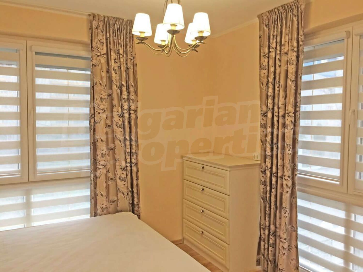 Gallery Picture 15