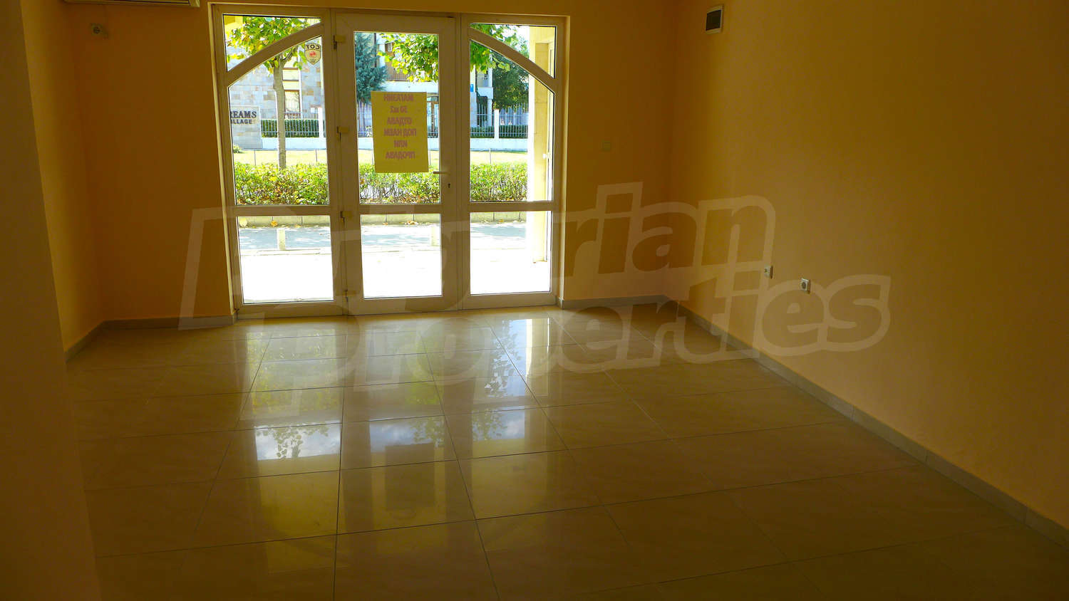 Gallery Picture 12