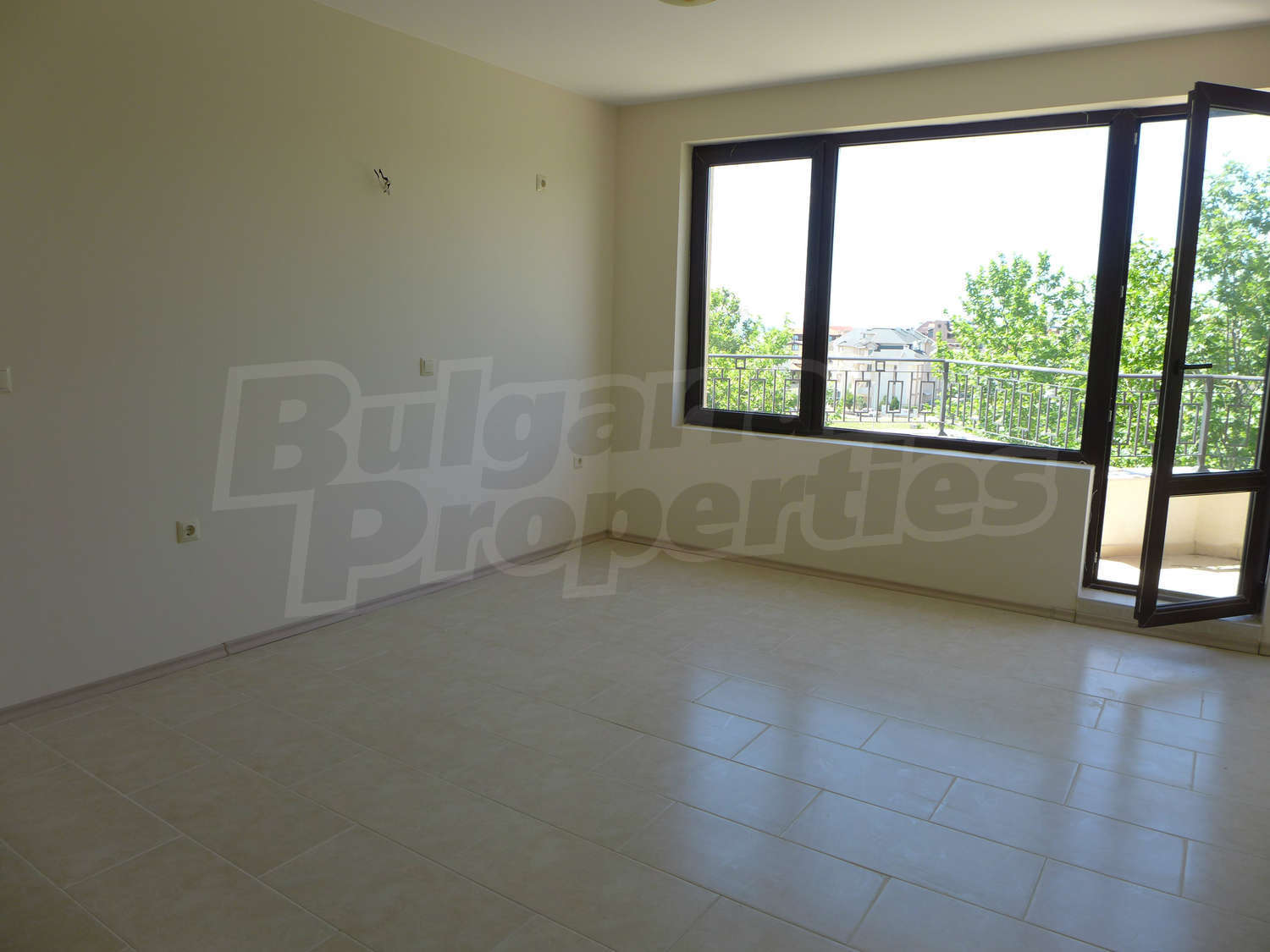 Gallery Picture 43