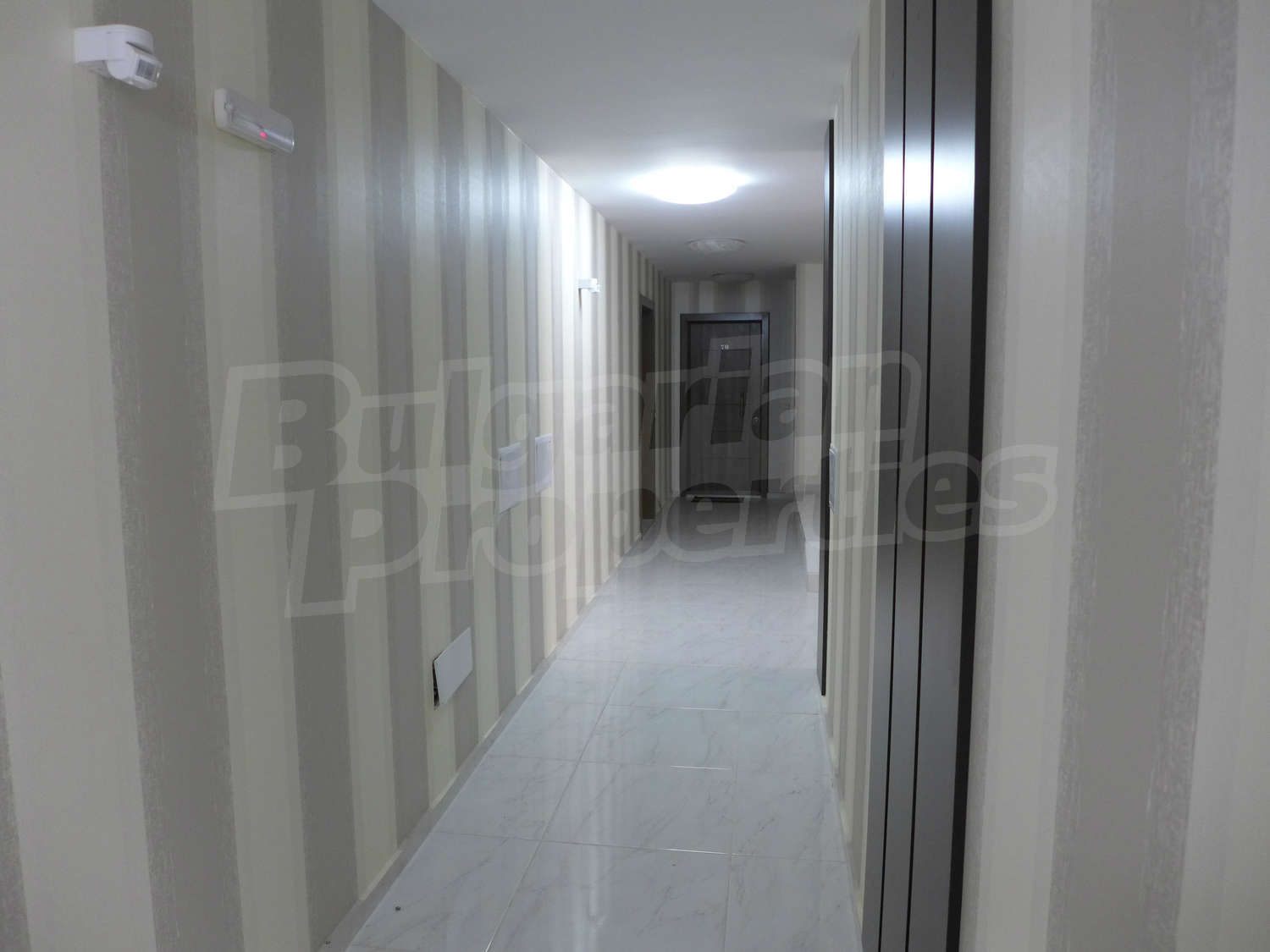 Gallery Picture 46