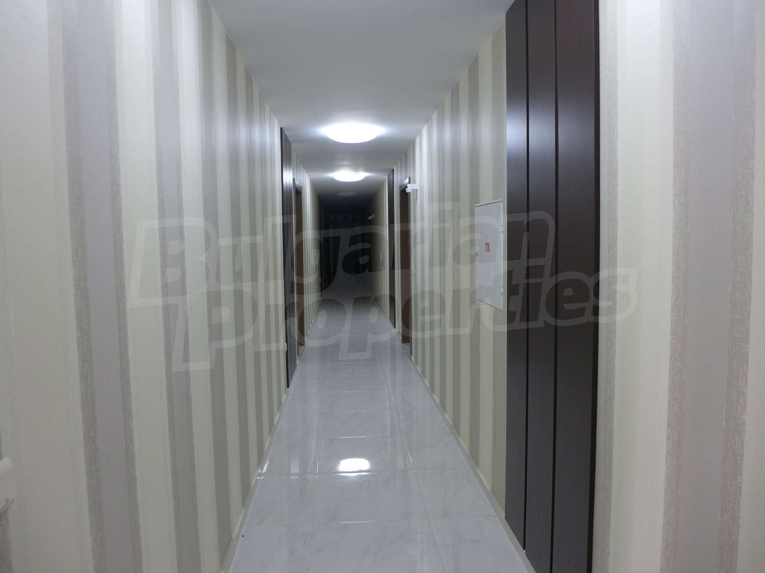 Gallery Picture 47