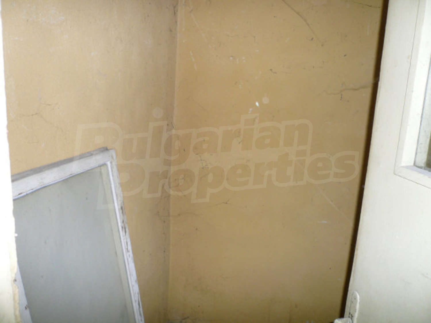 Gallery Picture 19