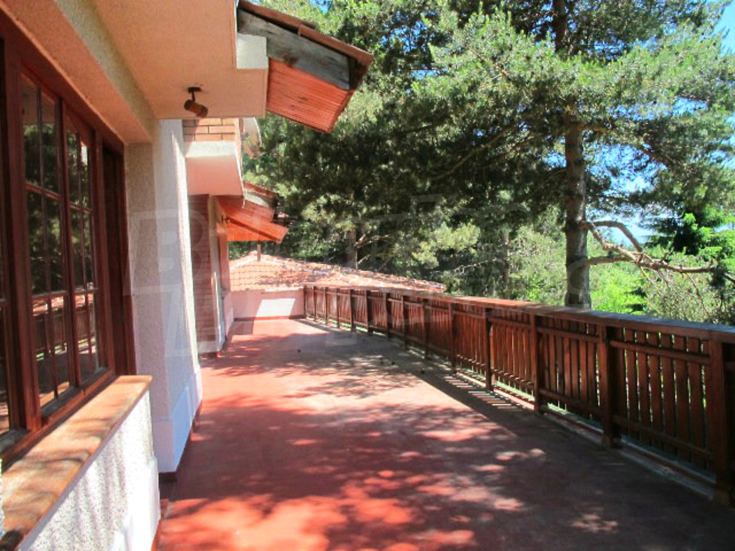 Gallery Picture 23