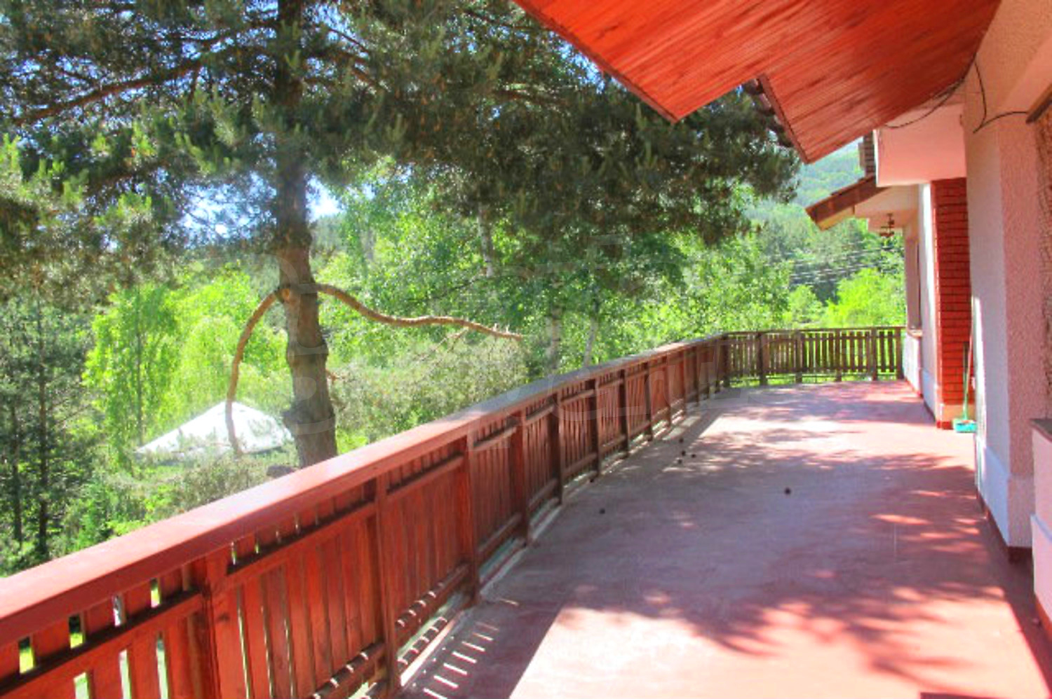 Gallery Picture 25