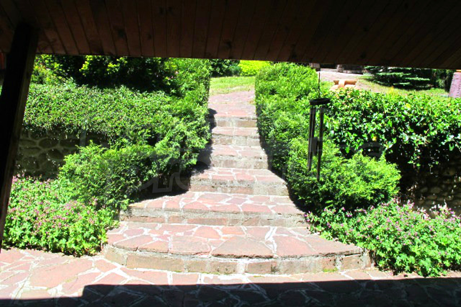 Gallery Picture 31