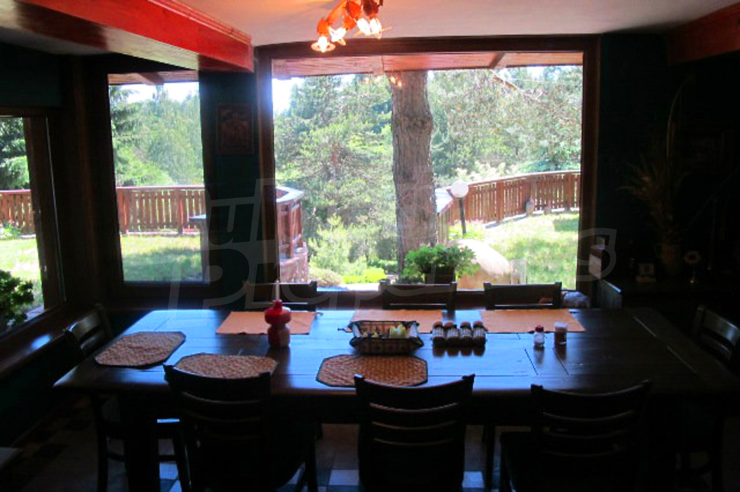 Gallery Picture 41