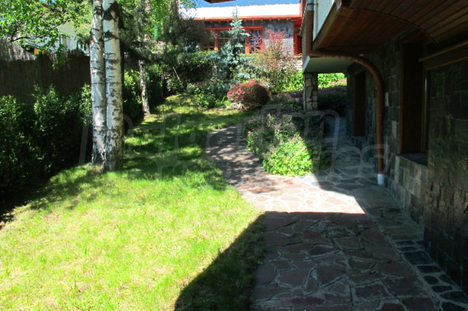 Gallery Picture 43