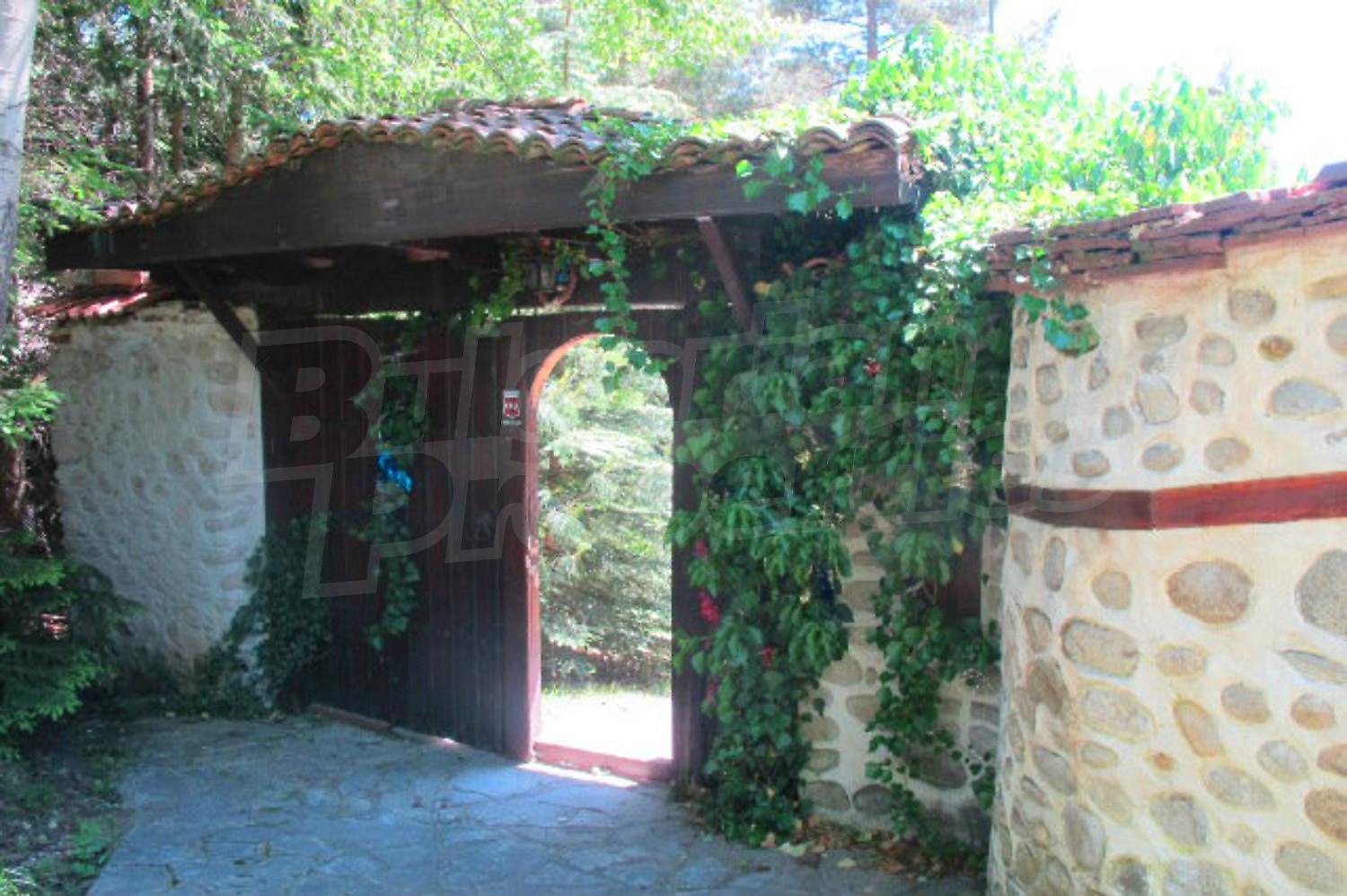 Gallery Picture 53