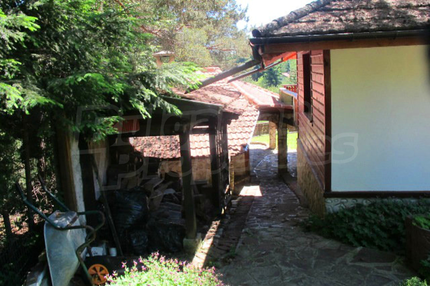 Gallery Picture 56