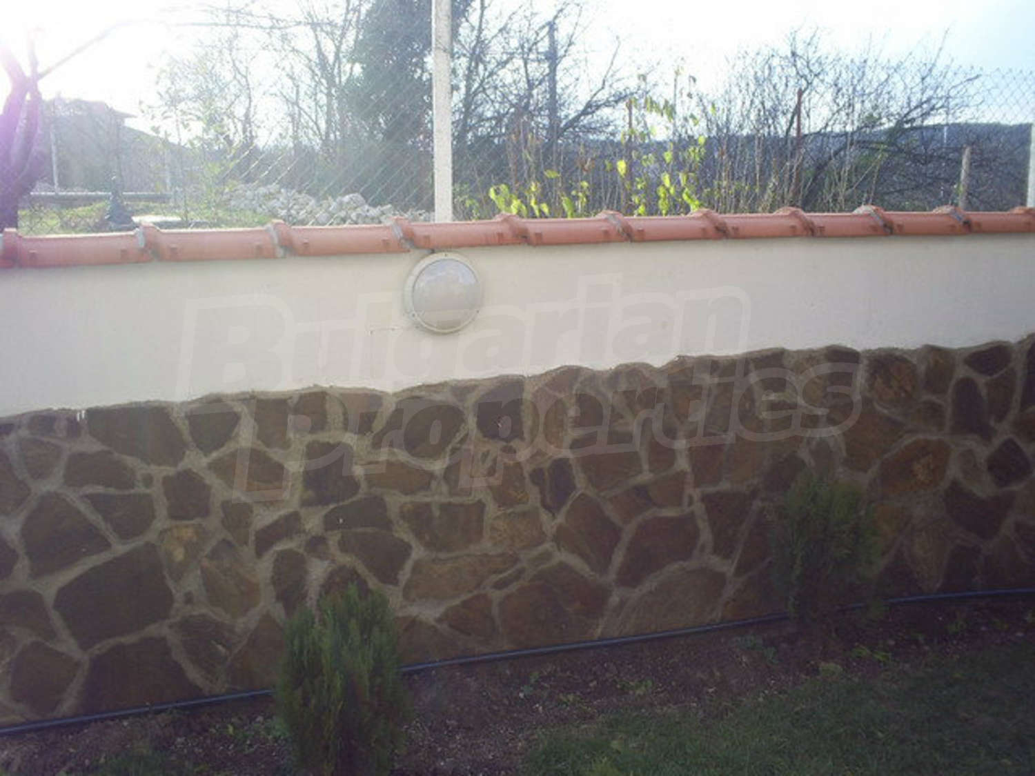 Gallery Picture 18