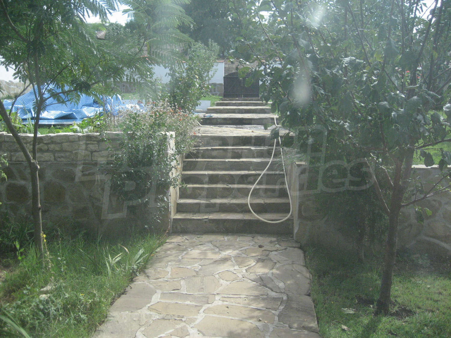 Gallery Picture 19