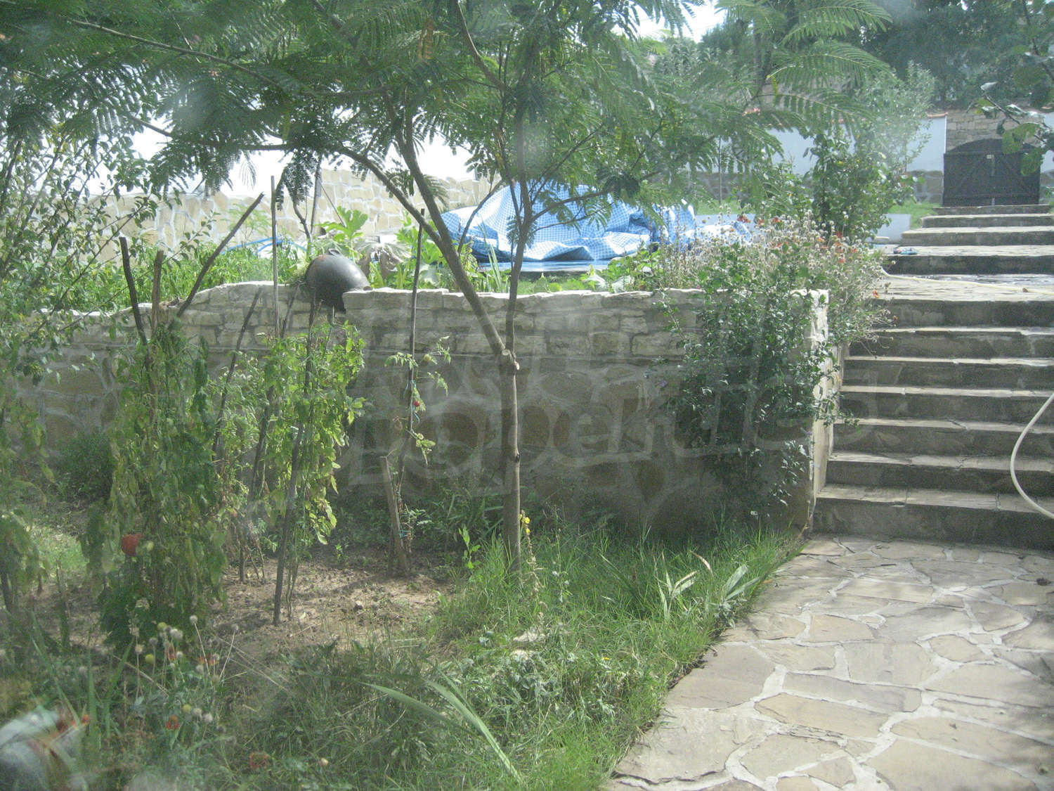 Gallery Picture 21