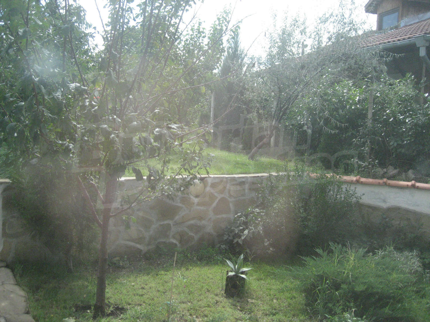 Gallery Picture 22