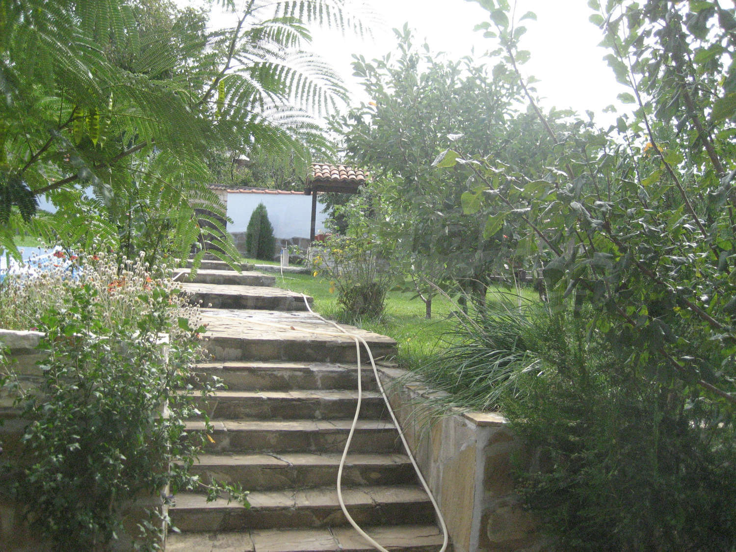Gallery Picture 23