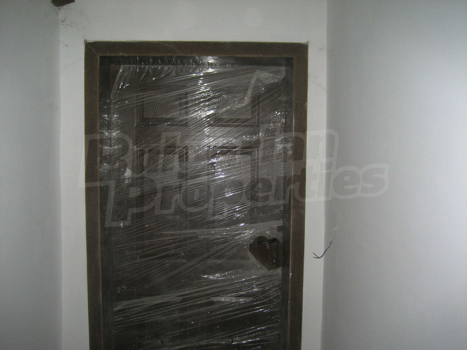 Gallery Picture 26