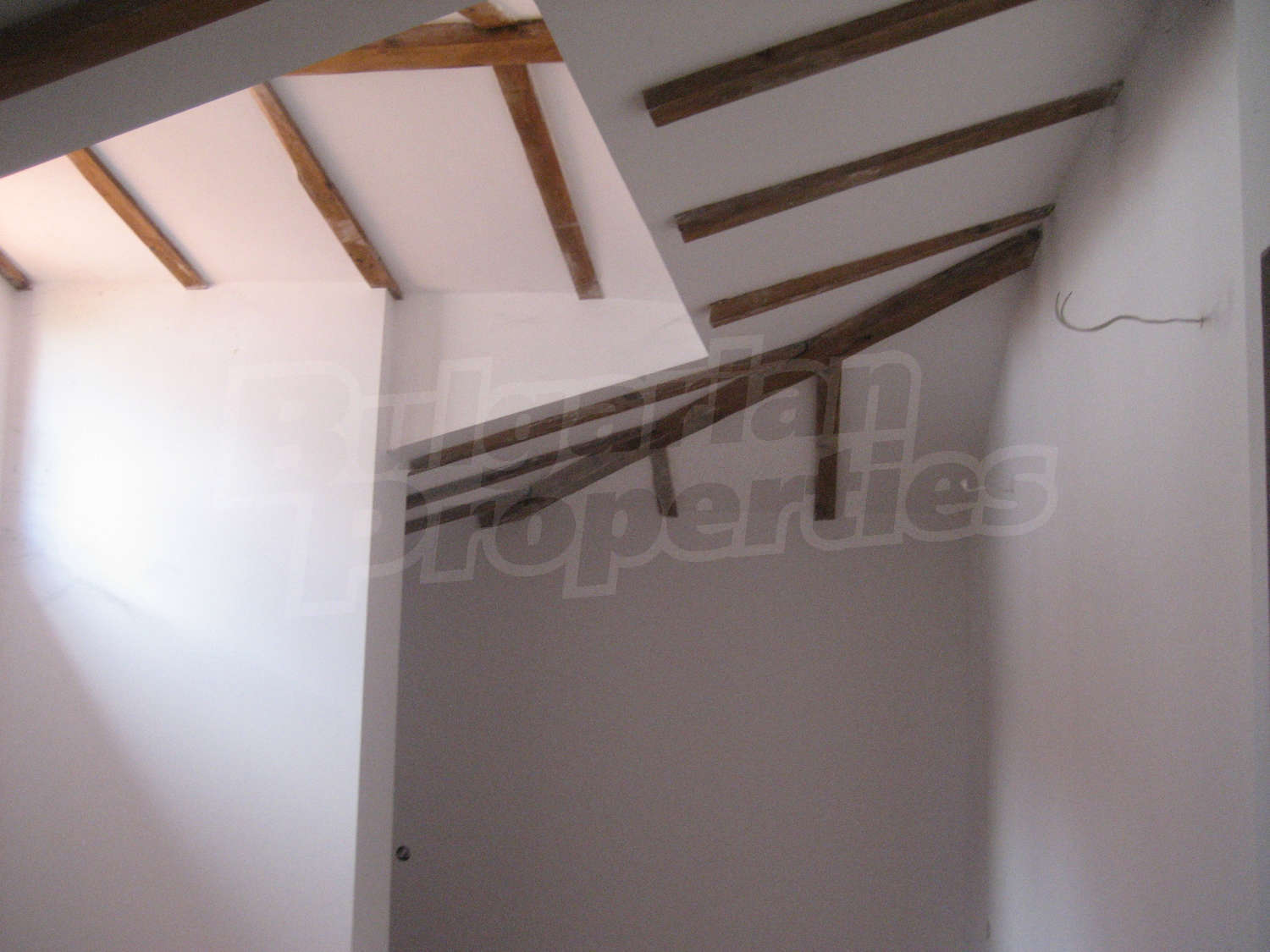 Gallery Picture 28