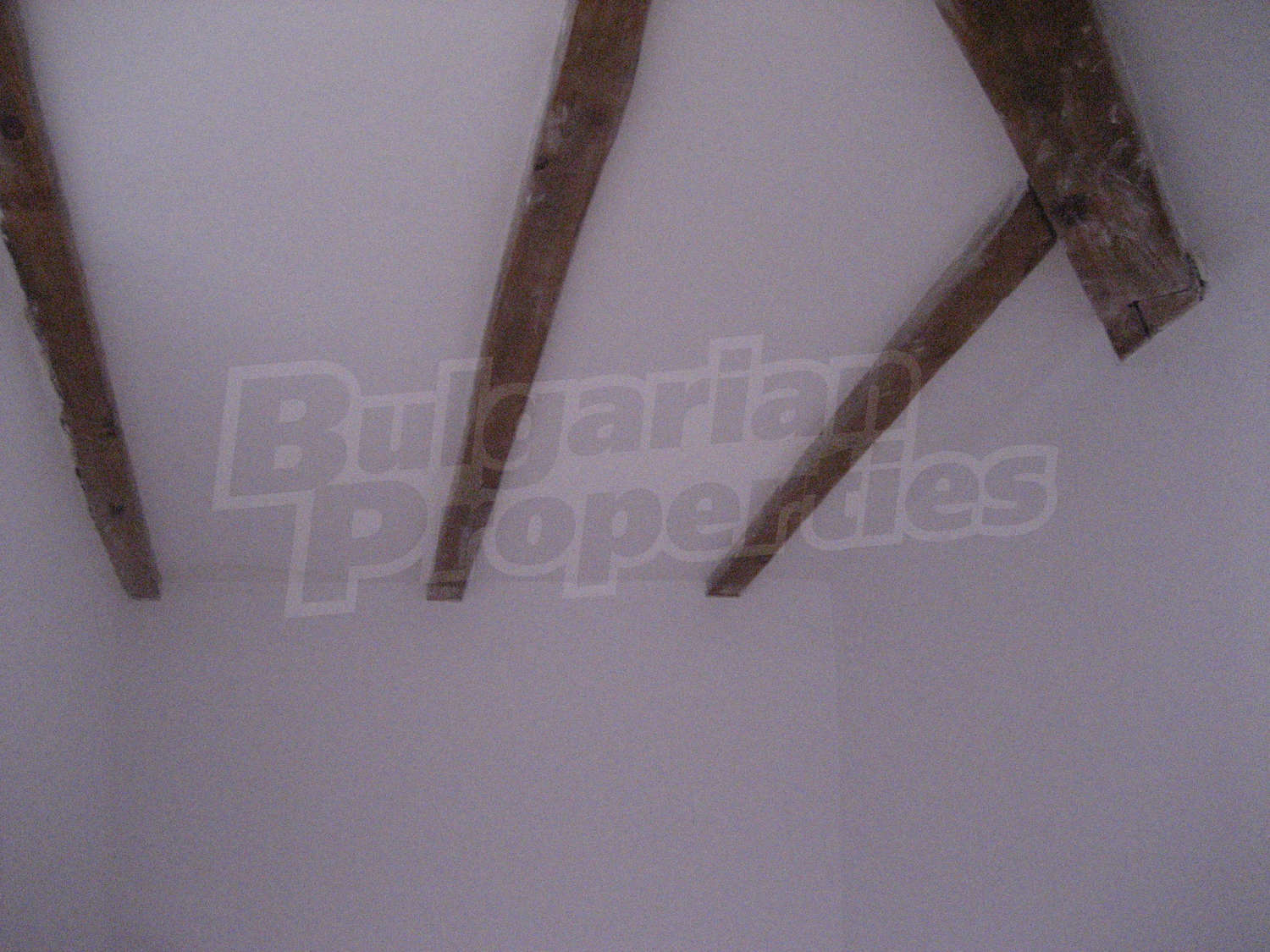 Gallery Picture 30