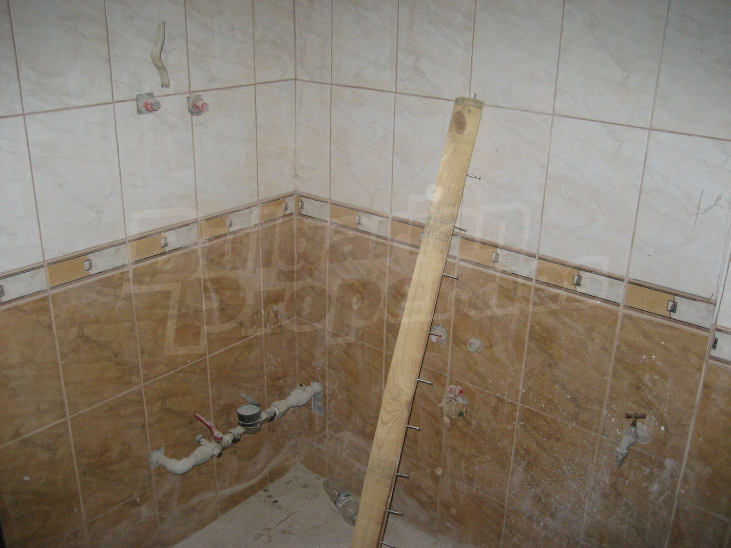 Gallery Picture 33