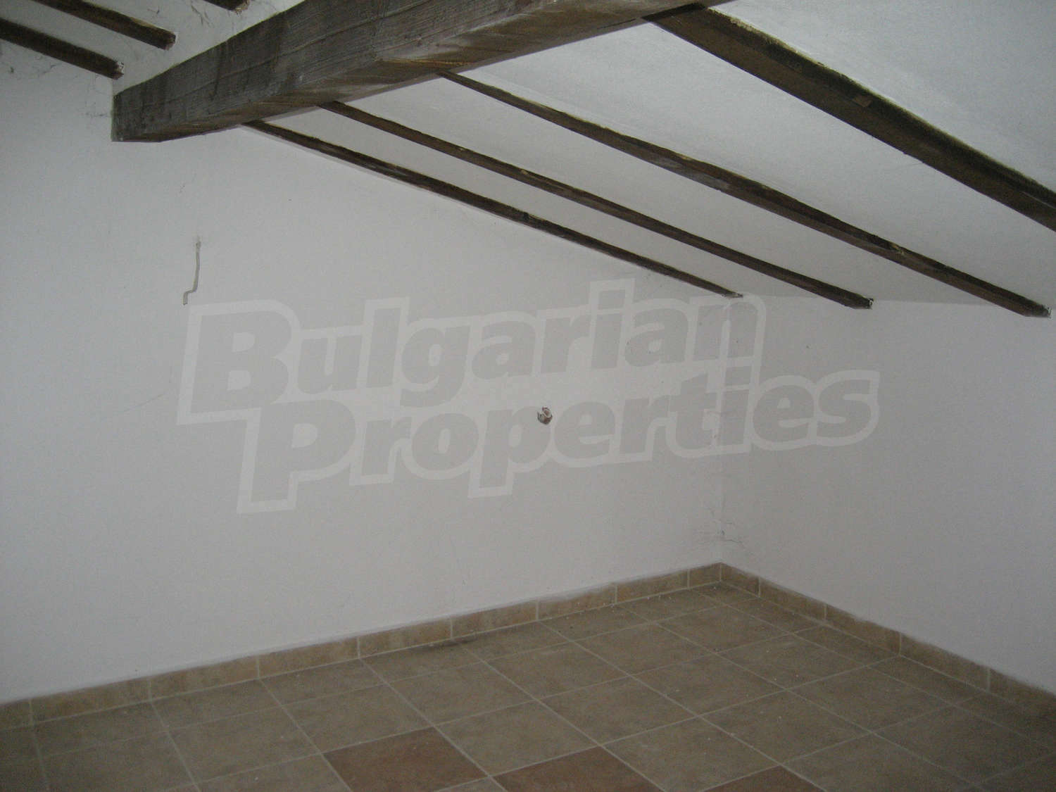 Gallery Picture 35