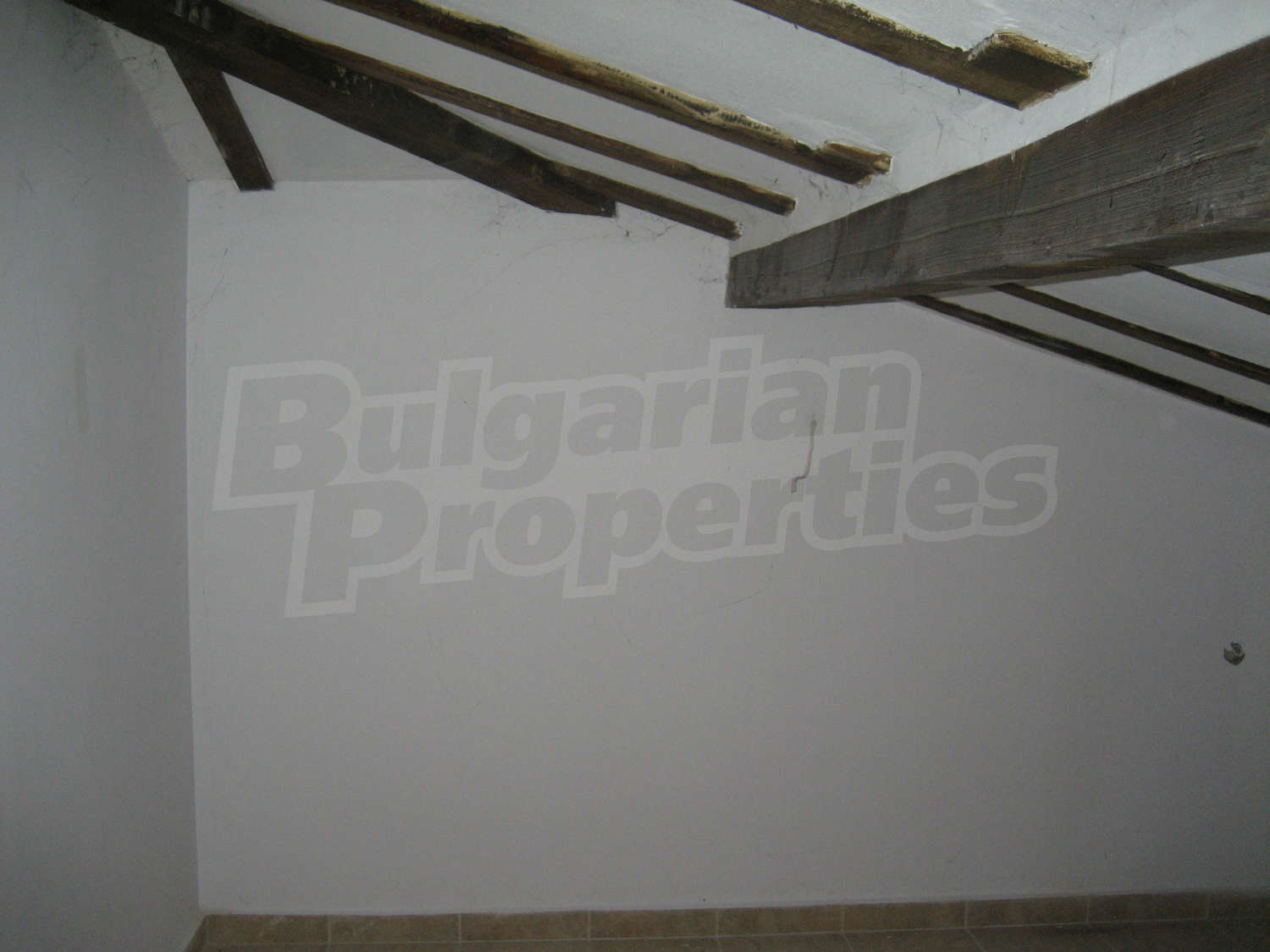 Gallery Picture 36