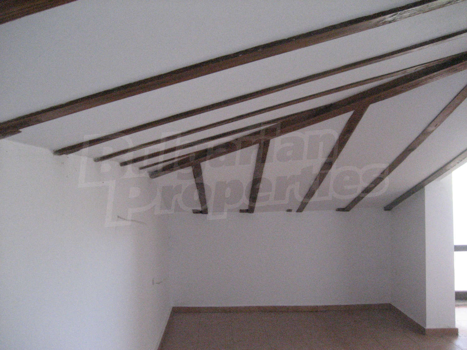 Gallery Picture 39