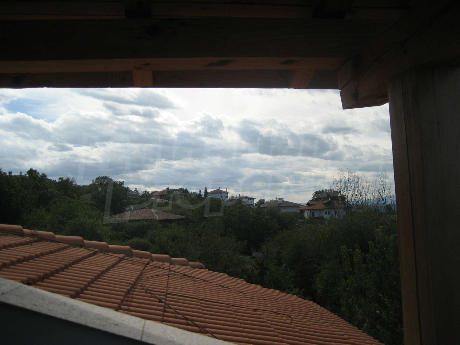 Gallery Picture 44
