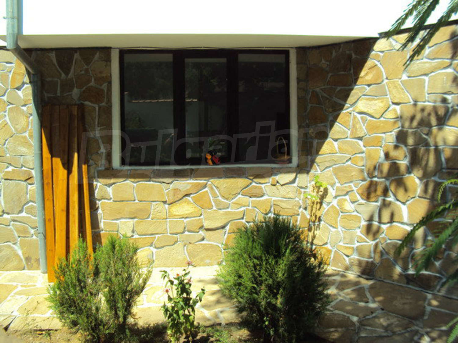Gallery Picture 6