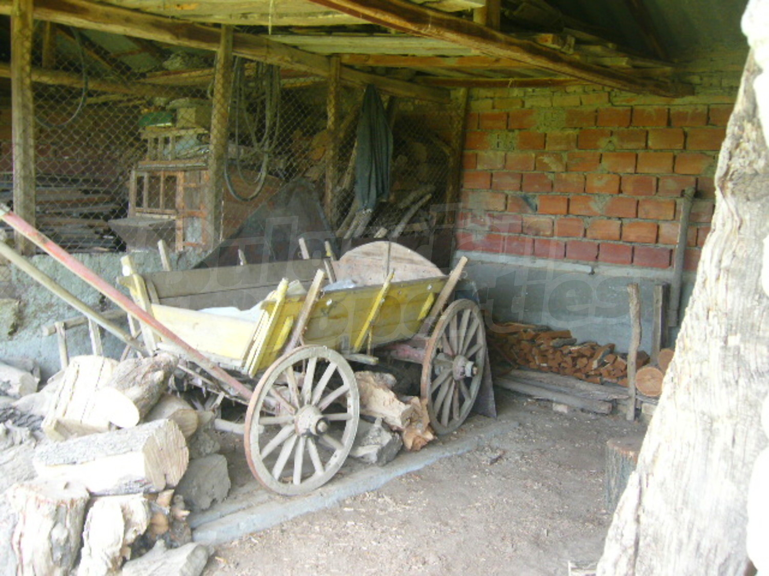 Gallery Picture 14