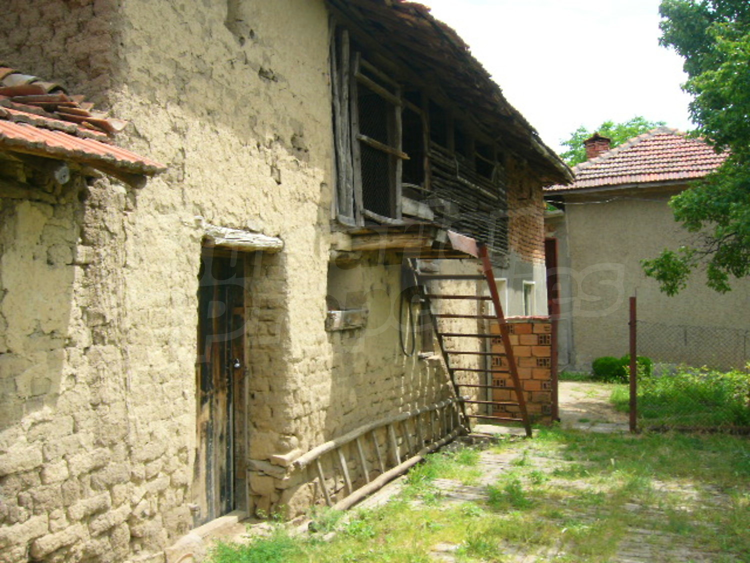 Gallery Picture 15