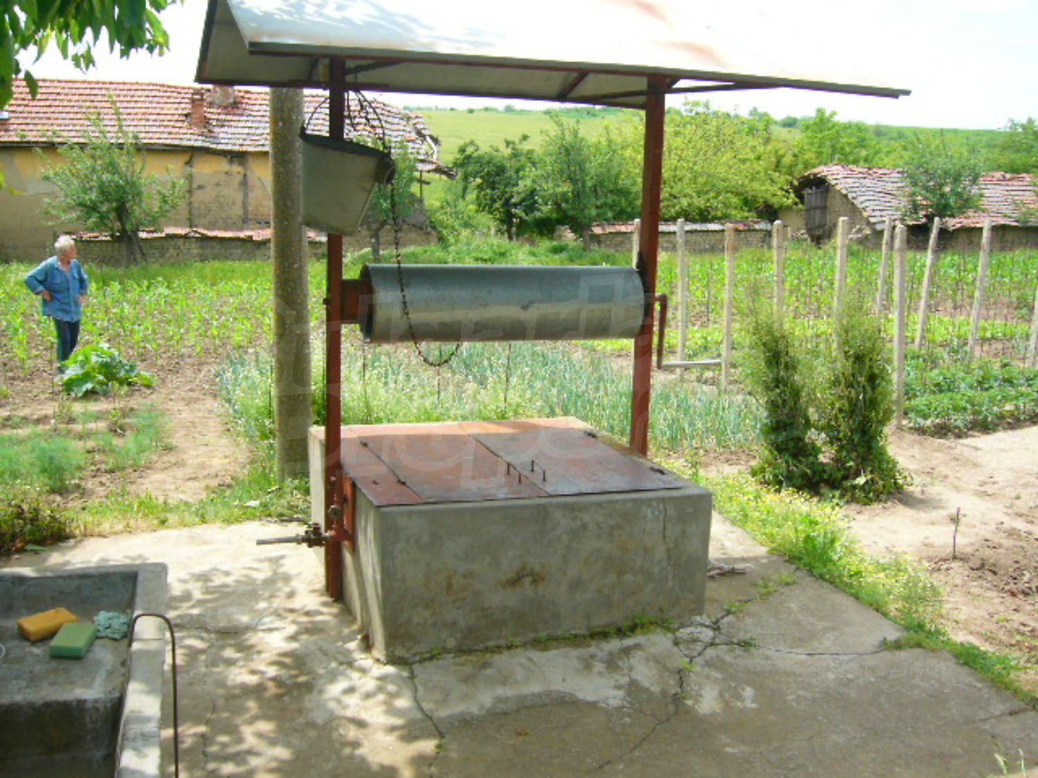 Gallery Picture 19