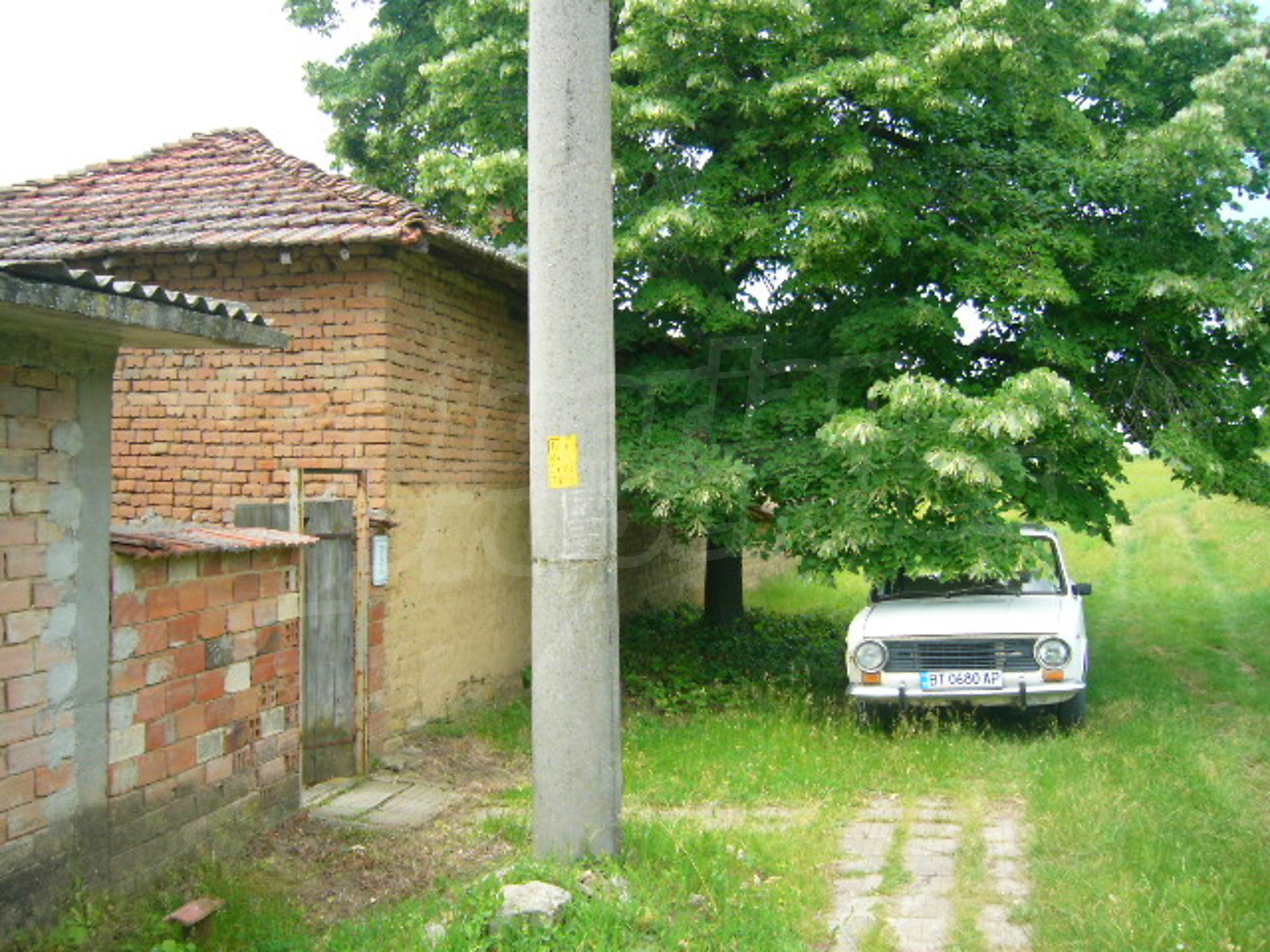 Gallery Picture 23