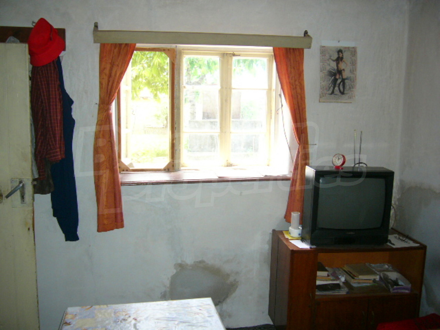 Gallery Picture 7