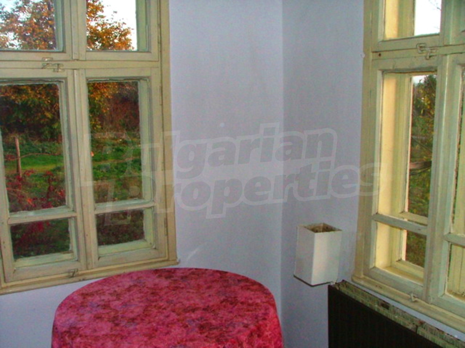 Gallery Picture 11