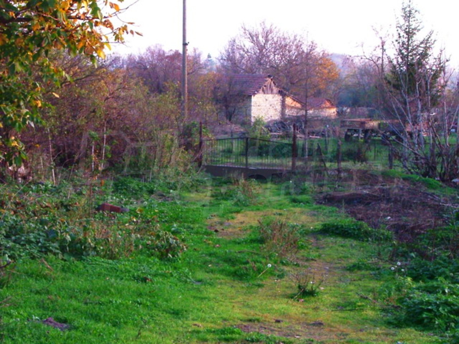 Gallery Picture 19