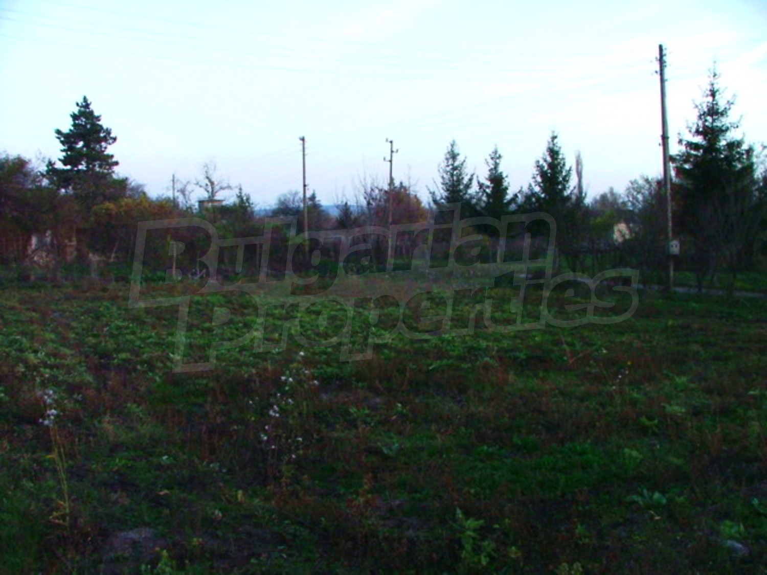 Gallery Picture 21