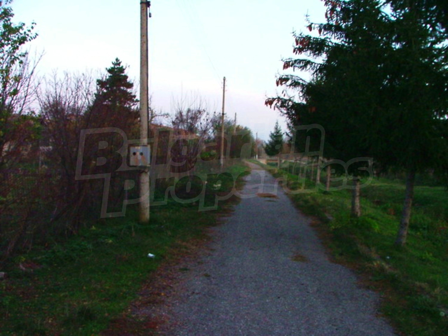 Gallery Picture 24