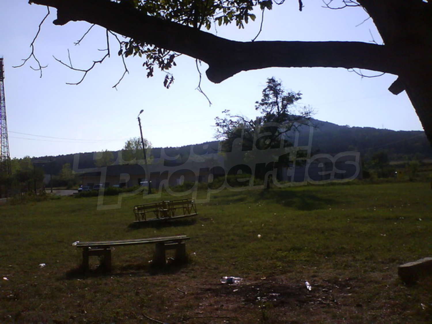 Gallery Picture 9