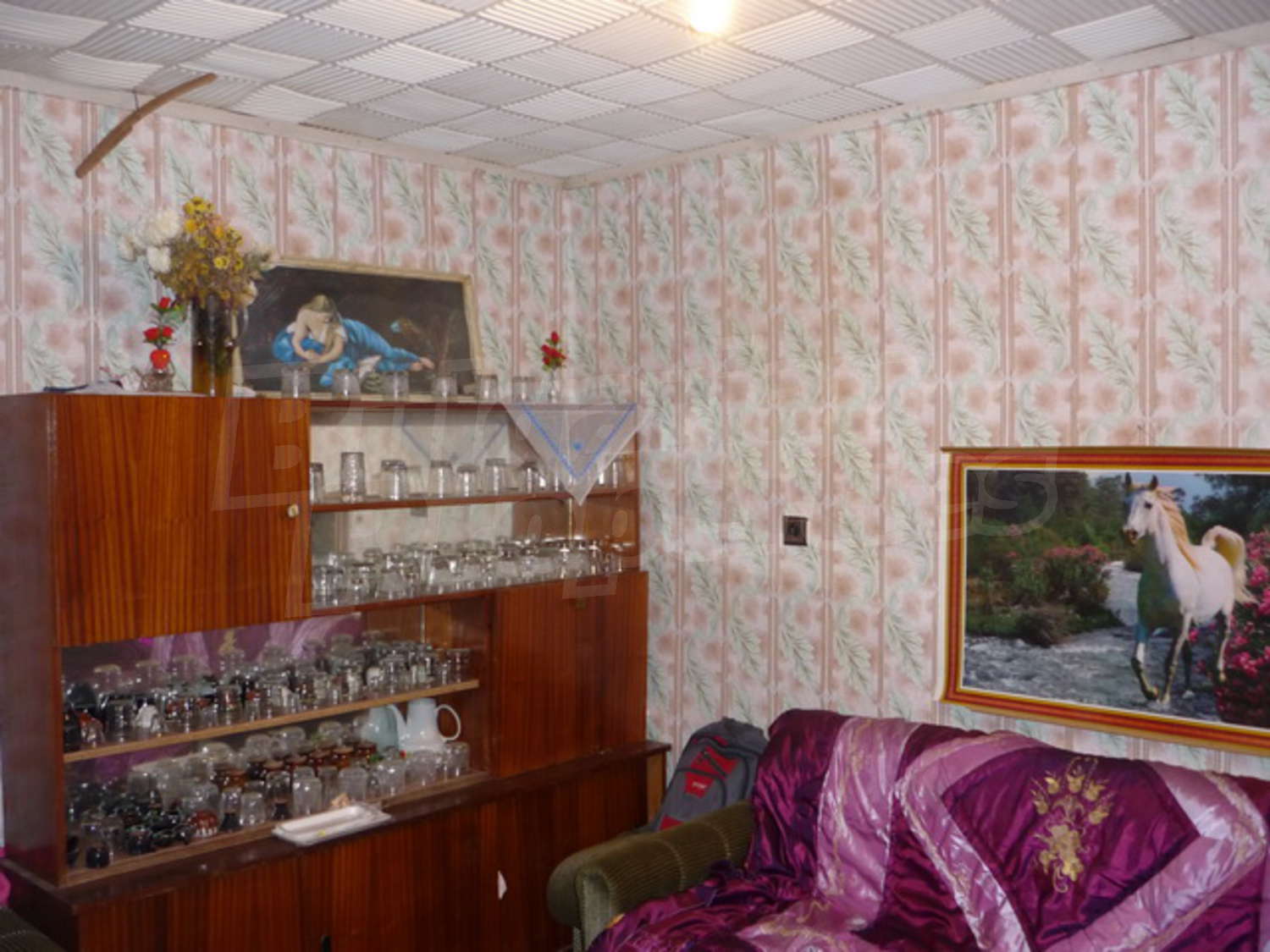 Gallery Picture 10