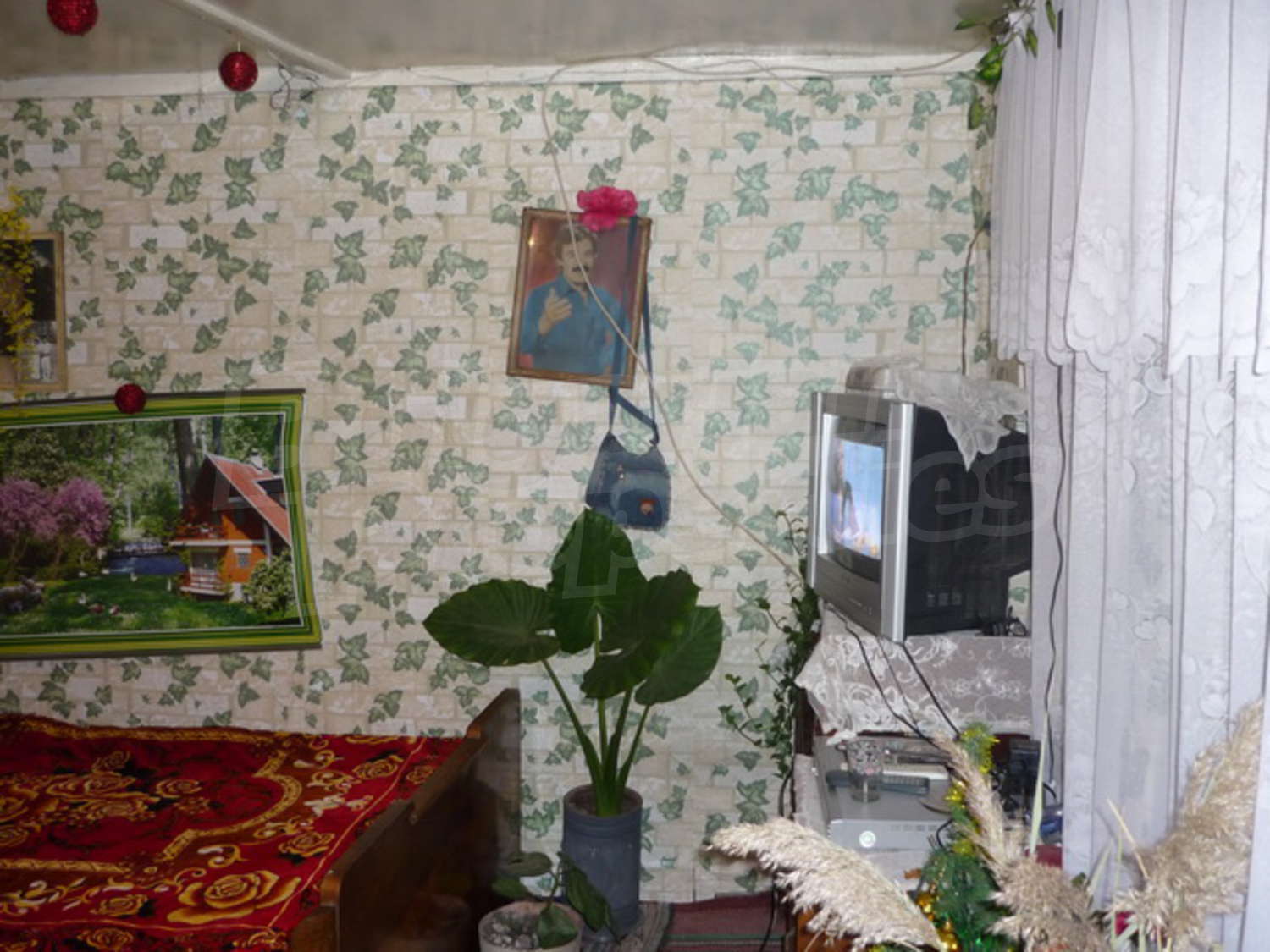 Gallery Picture 6