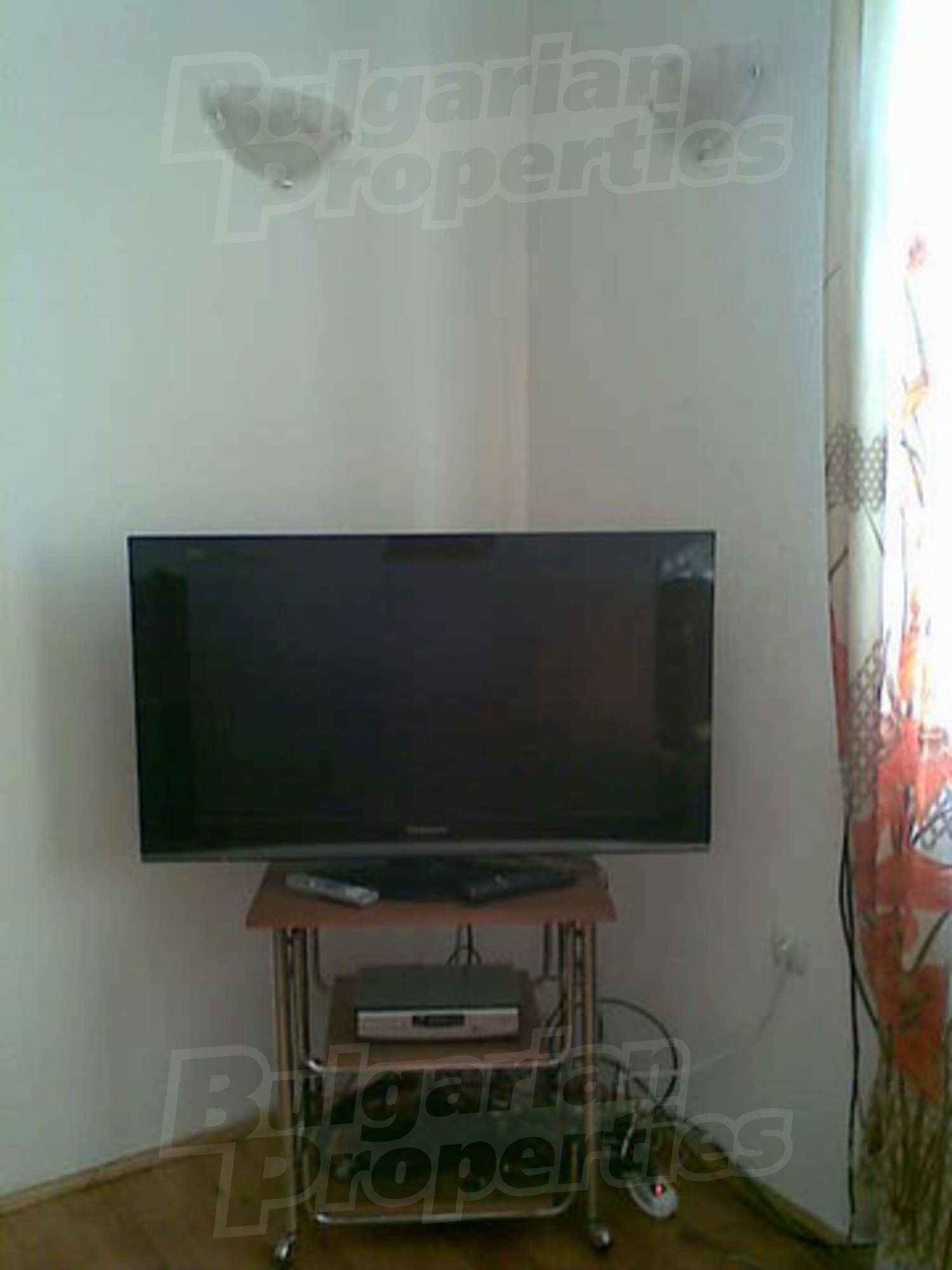 Gallery Picture 12