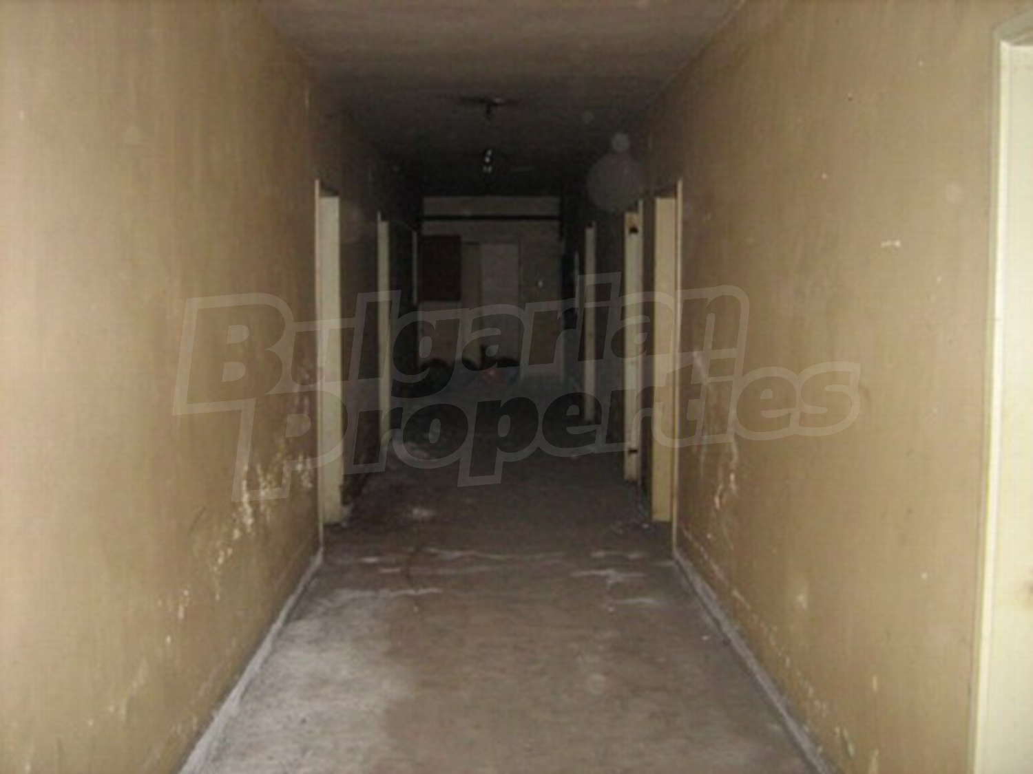 Gallery Picture 11