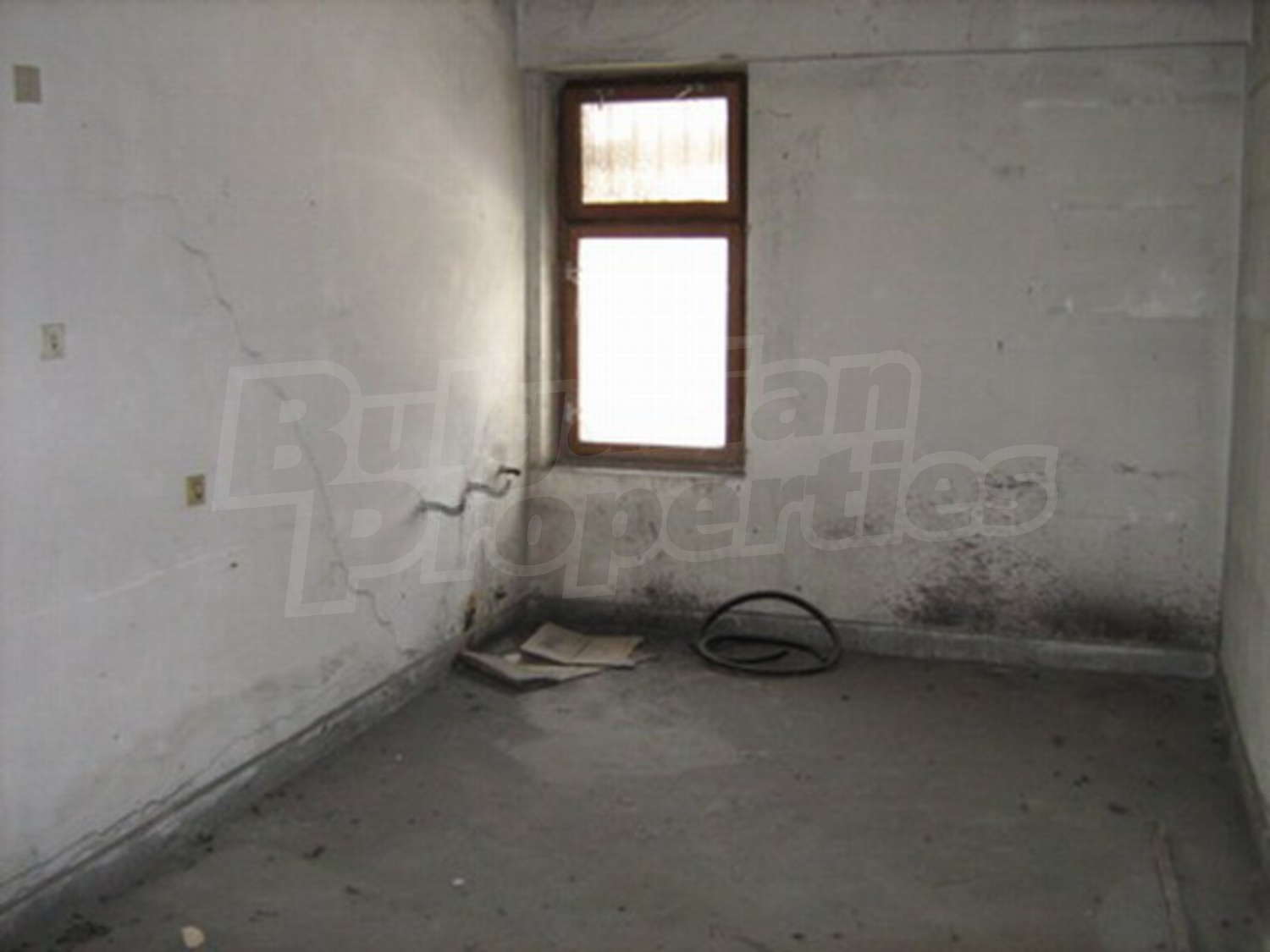 Gallery Picture 14