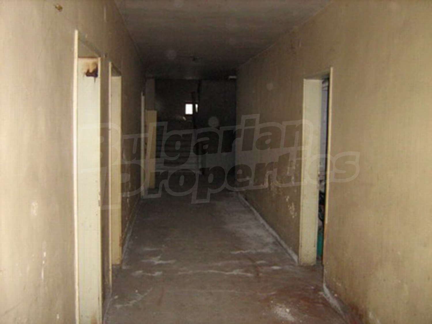 Gallery Picture 16