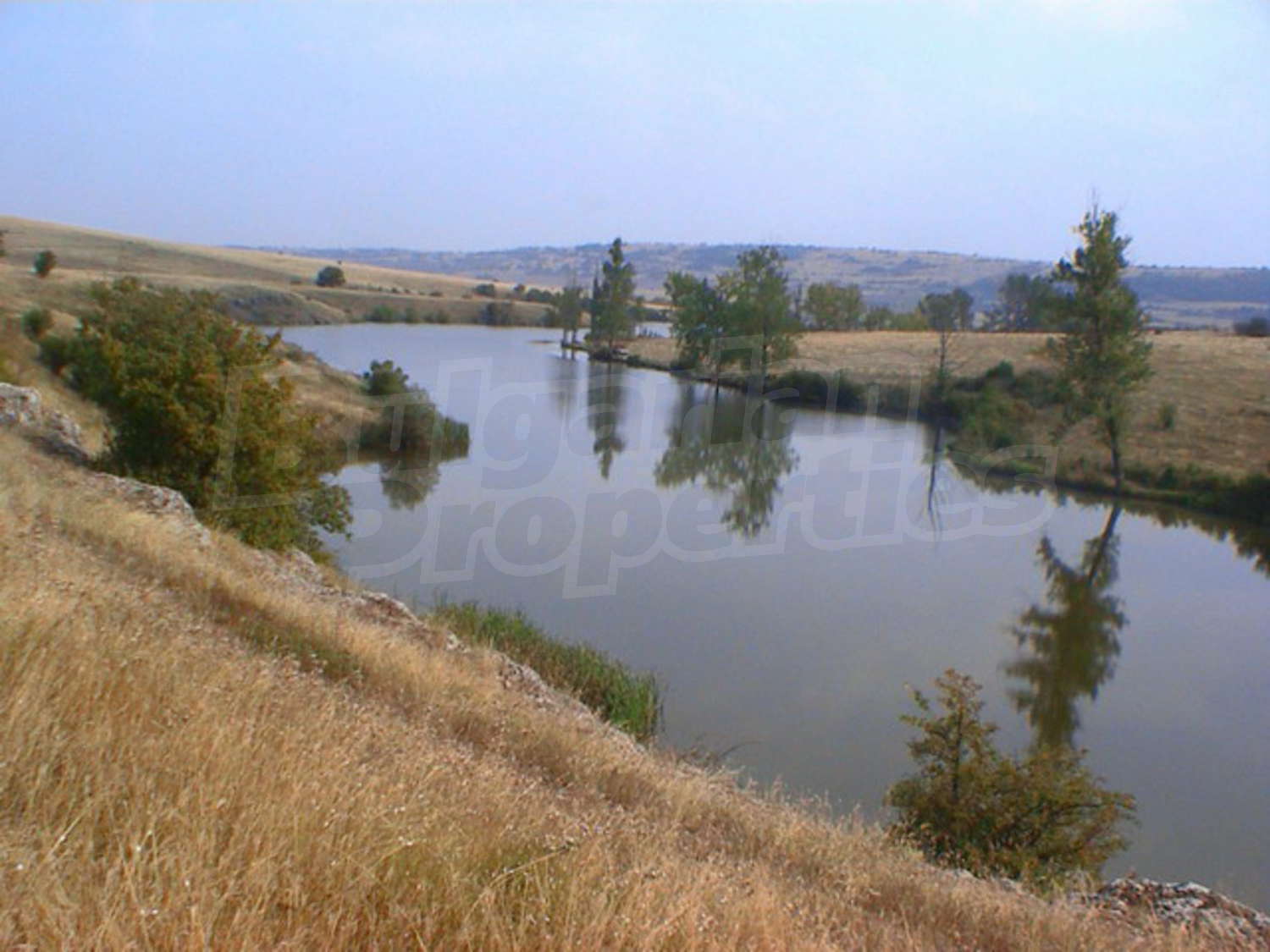 Gallery Picture 9
