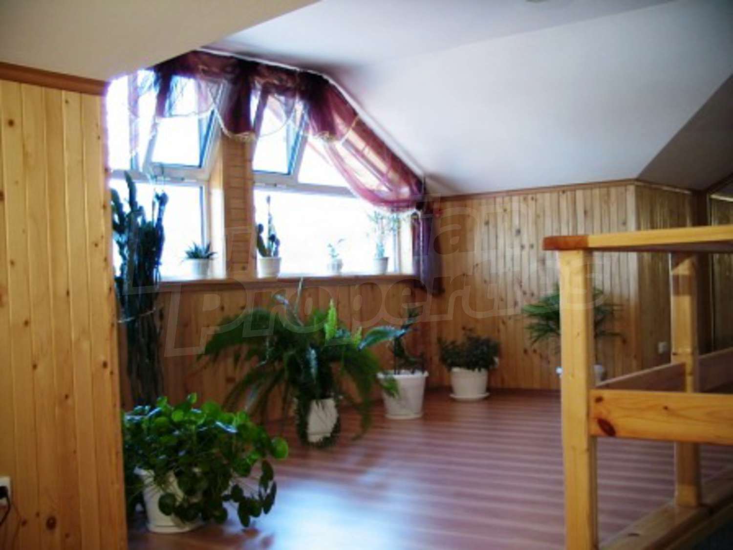 Gallery Picture 15
