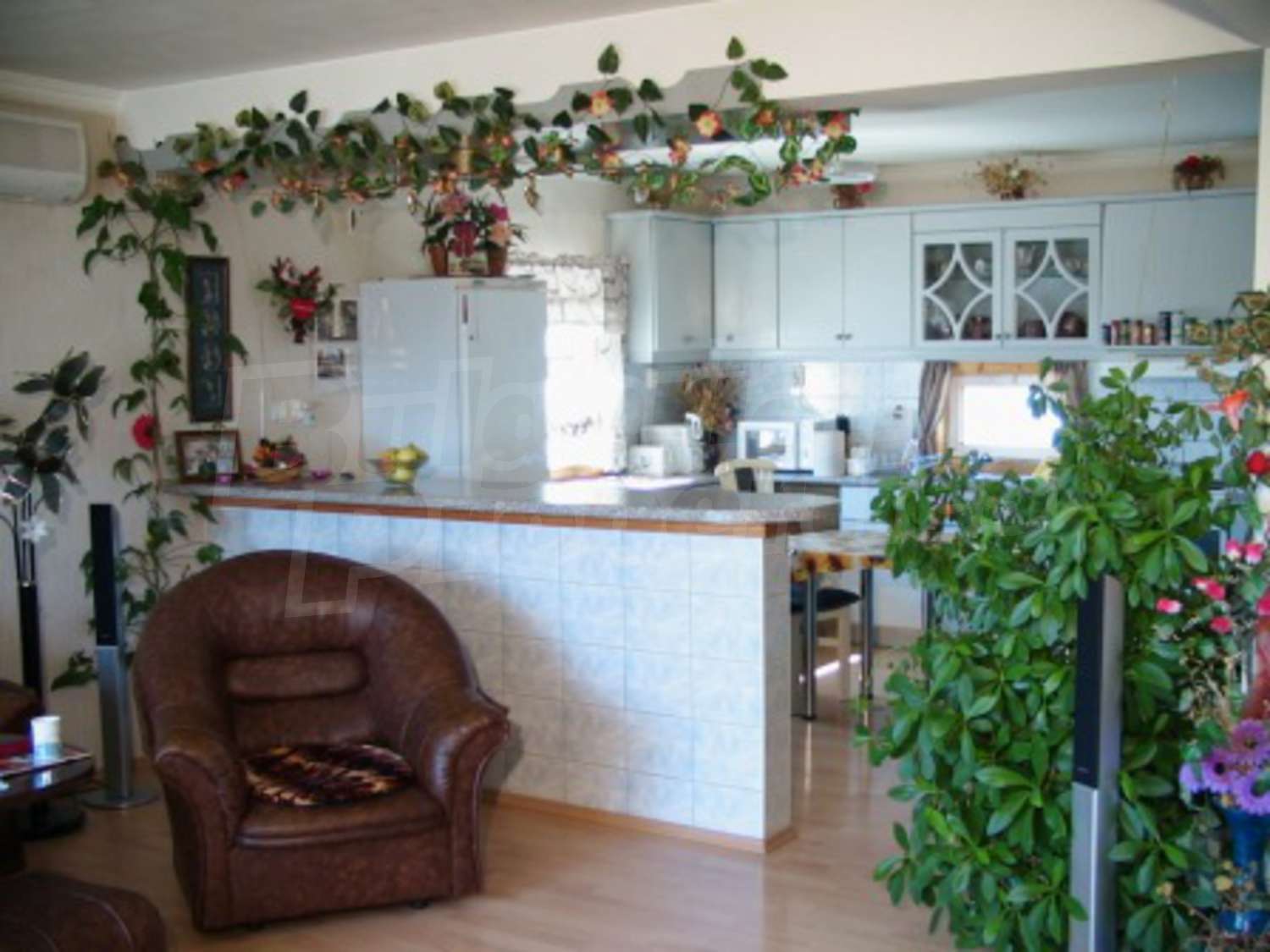 Gallery Picture 19