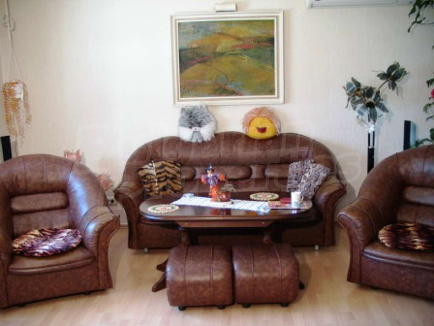 Gallery Picture 23