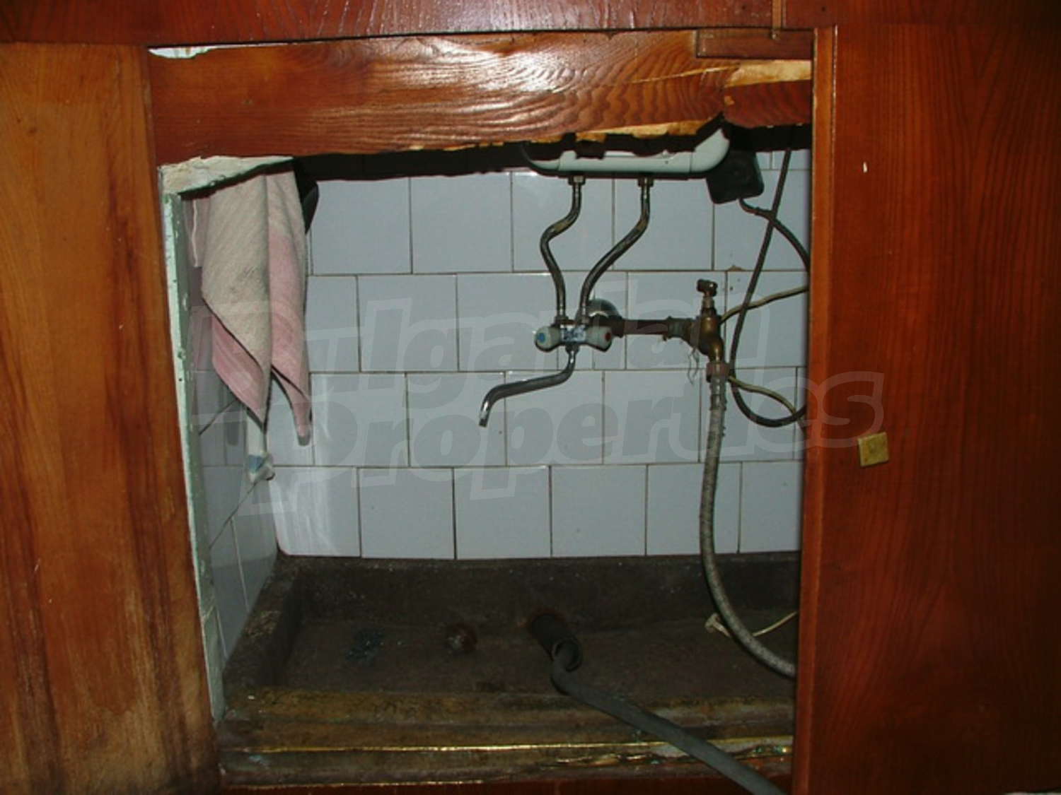 Gallery Picture 15