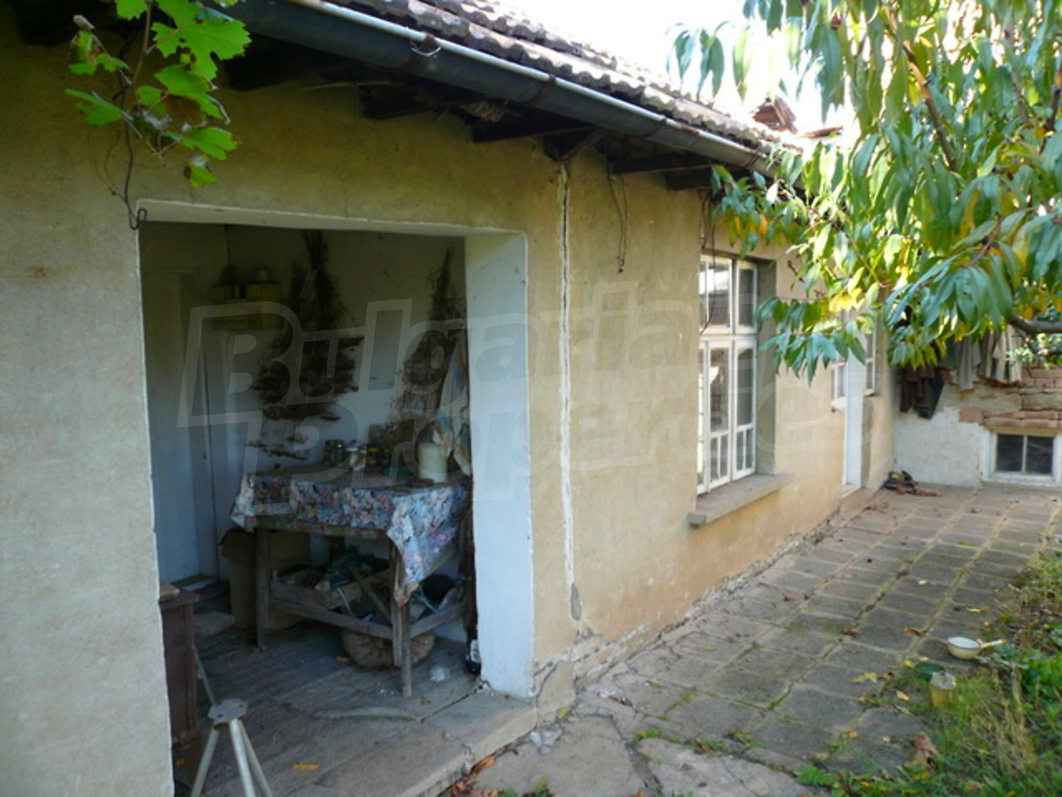 Gallery Picture 11